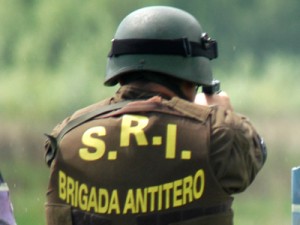 APLICATIE DEMONSTRATIVA - BACAU