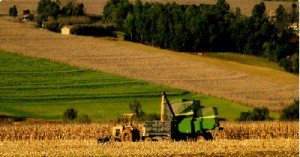 teren-agricol